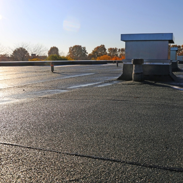 Just another WordPress site Just another WordPress site